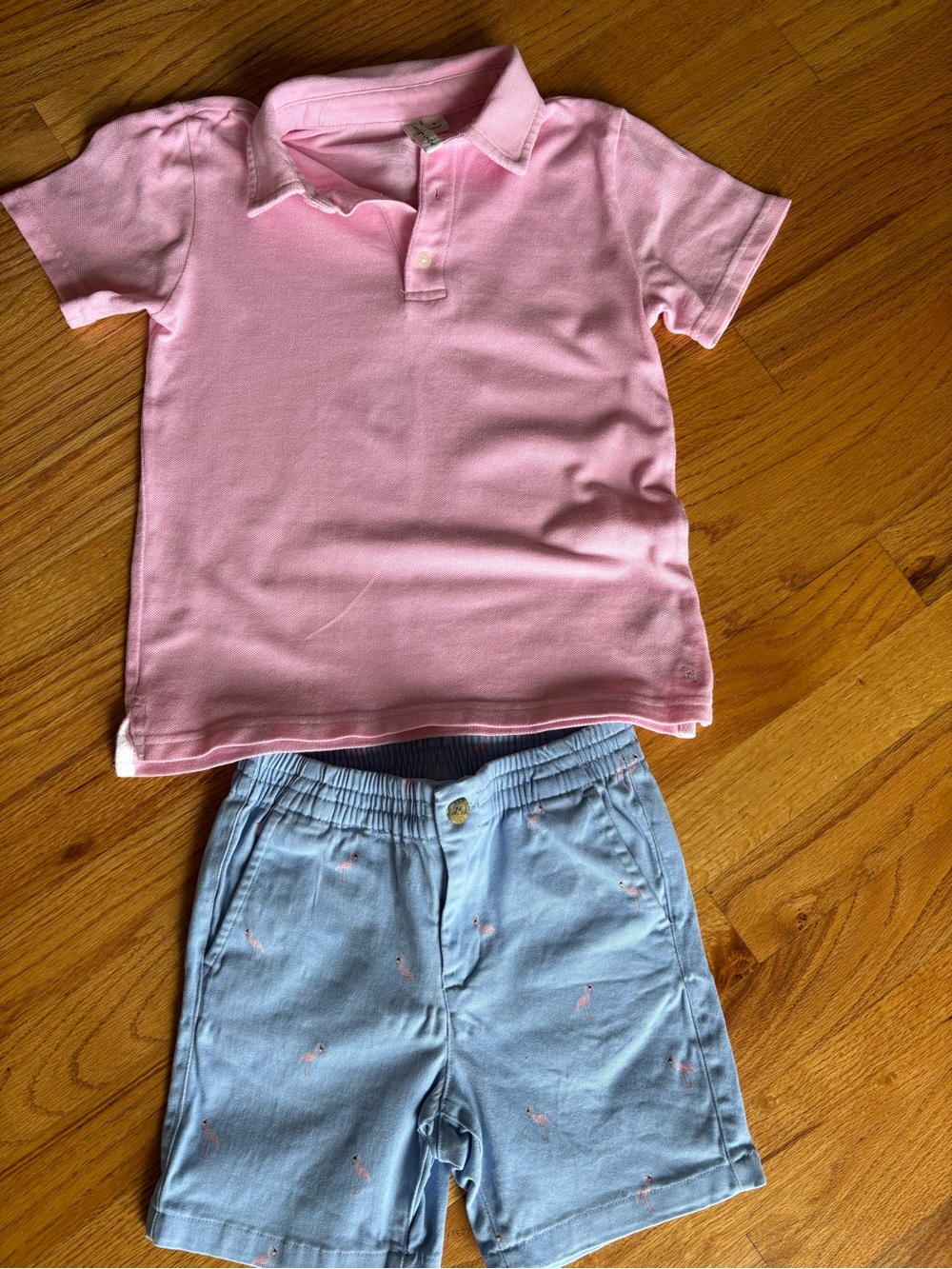 Janie and Jack Pink Polo with Light Blue Embroidered Shorts Set